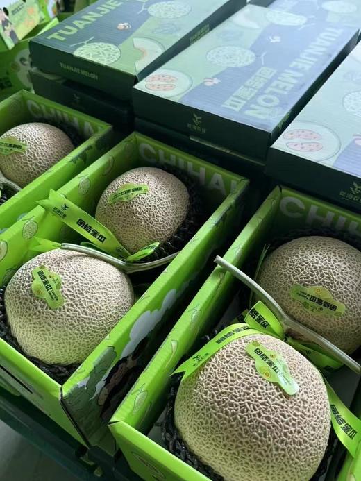 【超甜网纹瓜】团结网纹蜜瓜，冰淇淋蜜瓜，艺术般的网纹，翡翠般的软糯果肉 商品图5