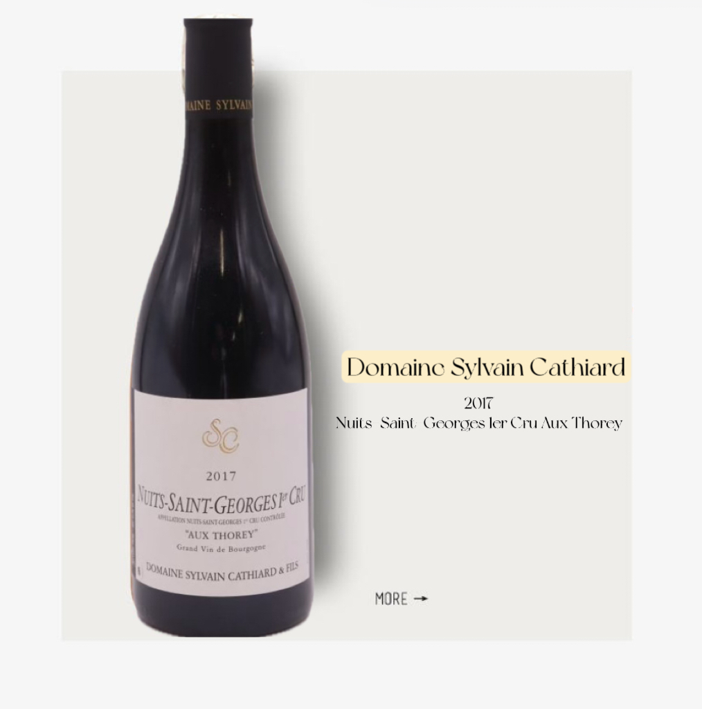 Domaine Sylvain Cathiard Nuits-Saint-Georges 1er Cru "Aux Thorey" 2017 西尔万帕塔耶酒庄夜乔治村斯沃一级园