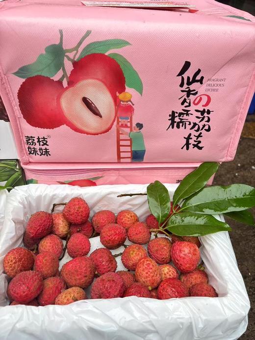仙香糯荔枝 纯甜爆汁 核小肉多 商品图3