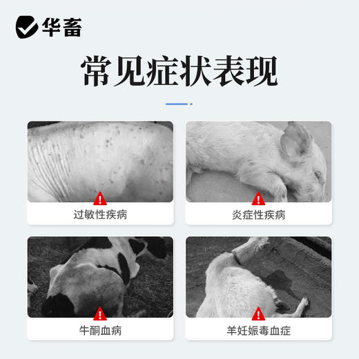 华畜兽药地塞米松磷酸钠注射用液兽用猪牛羊药消炎退热烧地米针剂 商品图2