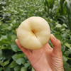 奶油蟠桃是桃中珍品，软硬两吃。硬吃脆甜，软吃爆汁可撕皮，果肉口感像冰淇淋，汁水超级多，一口下去，让人难忘。3斤/箱 商品缩略图1