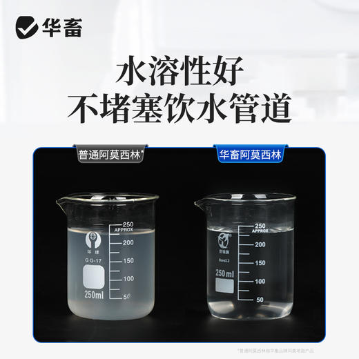 华畜 80%阿莫西林可溶性粉高含量水溶性好猪用 商品图3