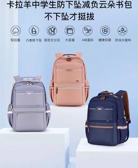【初高中】卡拉羊中学生云朵书包3.0轻盈版减负防下坠双肩包轻便大容量美术馆系列 5143