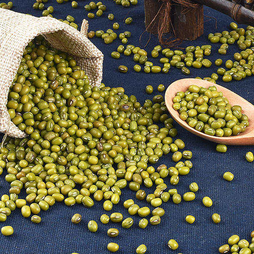 『山东粉沙绿豆』老品种非转基因，不抛光不打蜡，颗粒饱满，豆香清新，沙糯可口 商品图1