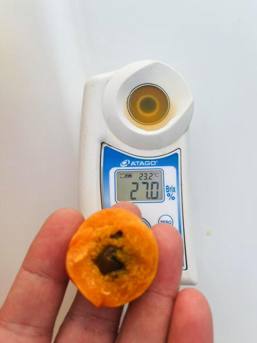 新疆红杏3斤礼盒 商品图3