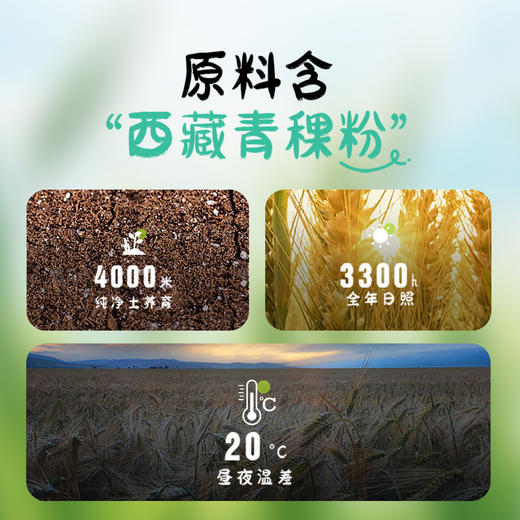 【青稞爆米花奶酪味】西藏日客则青稞 非油炸不上火 0反式脂肪酸 0蔗糖 甜而不腻AA 商品图3