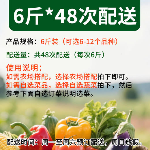 京津冀有机蔬菜宅配套餐幸福二人蔬菜包  6斤*48份欧盟认证包邮 商品图2