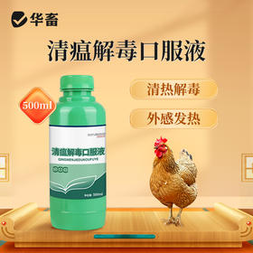 华畜兽用 清瘟解毒口服液500ml 感冒发烧 四季流感 禽呼吸道病药