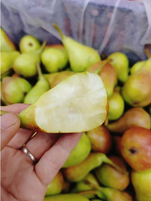 拇指啤梨2斤 商品图2