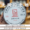 A级单采︱大树古树茶尾货-2022年红土地-头春茶 商品缩略图0