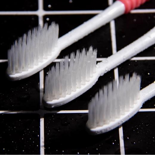 狮王细齿洁弹力护龈 牙刷（3支特惠装） 商品图6