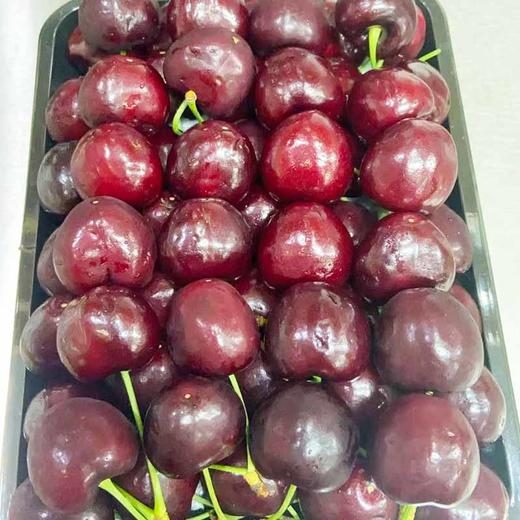 美国车厘子 约500g/份（肉厚脆甜 鲜嫩多汁） 商品图0