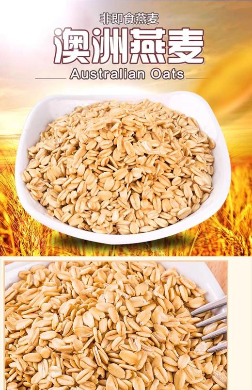澳麦益康原味金味麦片即冲速溶燕麦香甜早餐冲饮品 商品图2