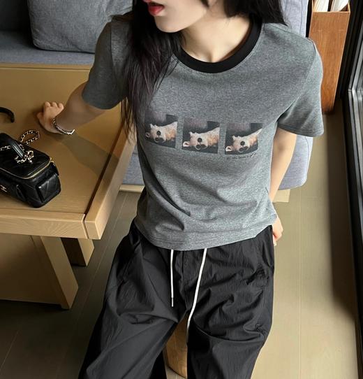 老米优品🎈3-5天！松弛哲学~《复古3只小狗撞色短袖tee》印花图案减龄复古，小合体版型，利落百搭~T250622A 下架 商品图0