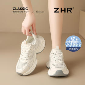 ZHR透气银色老爹鞋女2025夏季新款爆款网面轻便配裙子休闲鞋子
