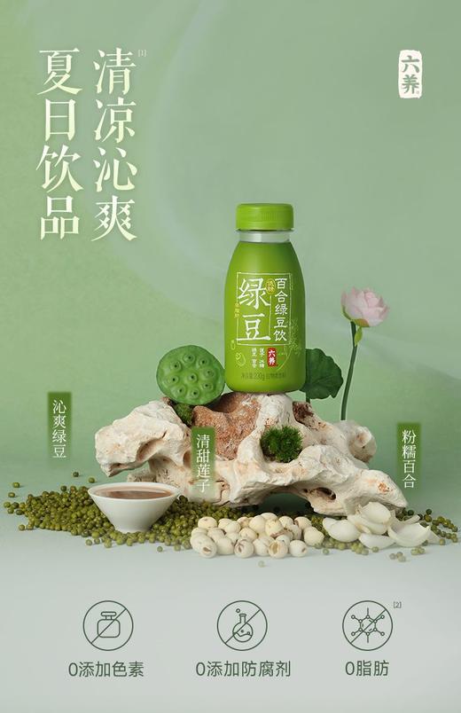 解暑必备 某马同款【古法-六养百合莲子绿豆饮】 药食同源 配料干净 入口细腻丝滑 低脂低糖配方控糖人士友好 无防腐剂 商品图5