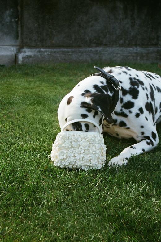 Cult Gaia - Solene Mini Top Handle - Ivory - 女装 - 包包 - 象牙白 商品图3