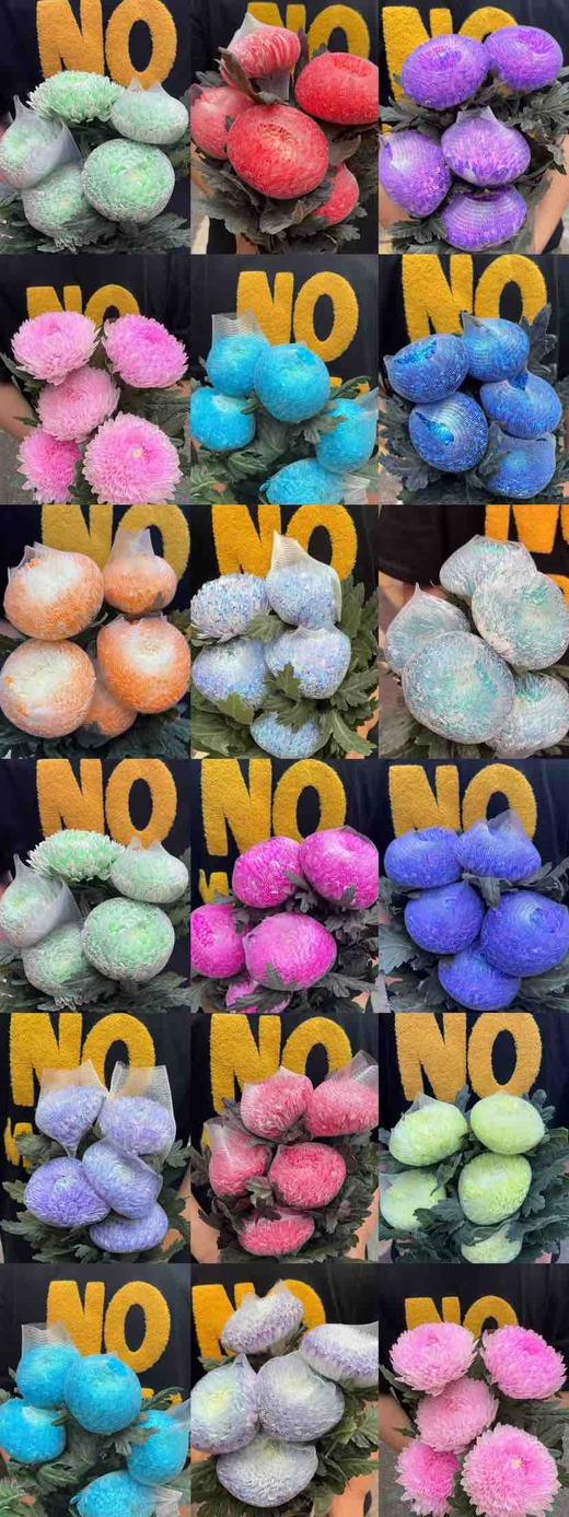 牡丹菊.随机色 商品图0