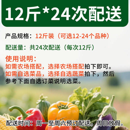 有机蔬菜京津冀宅配套餐全家福蔬菜包 12斤*24份欧盟认证包邮 商品图1