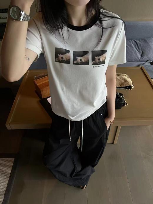 老米优品🎈3-5天！松弛哲学~《复古3只小狗撞色短袖tee》印花图案减龄复古，小合体版型，利落百搭~T250622A 下架 商品图5