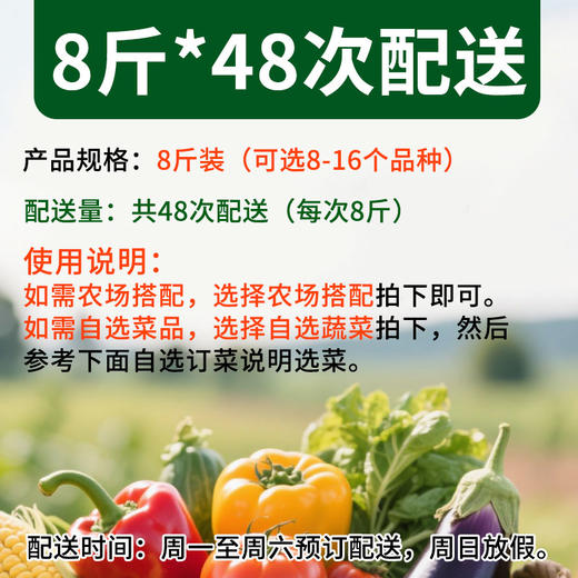 京津冀包邮有机蔬菜宅配套餐三人亲子蔬菜包 8斤*48份欧盟认证 商品图3