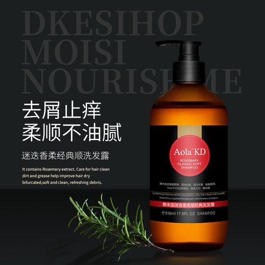 迷迭香洗发露草本提取洗头水天竺葵沐浴露清爽控油去屑柔顺洗发水 商品图2