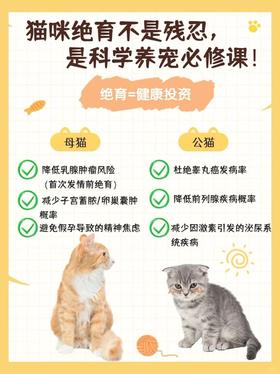 养猫人总在纠结的绝育问题