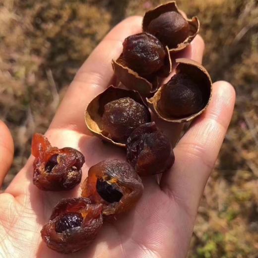 [最农公社]福建莆田特级桂圆干1斤/2斤大果个大壳薄肉厚核小新上架喜庆桶装 商品图3