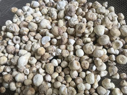 0.8-1.2生半夏个  （5年陈）   陈半夏  旱半夏250克  500克   1公斤 商品图3