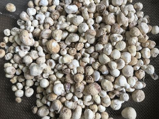 0.8-1.2生半夏个  （5年陈）   陈半夏  旱半夏250克  500克   1公斤 商品图1