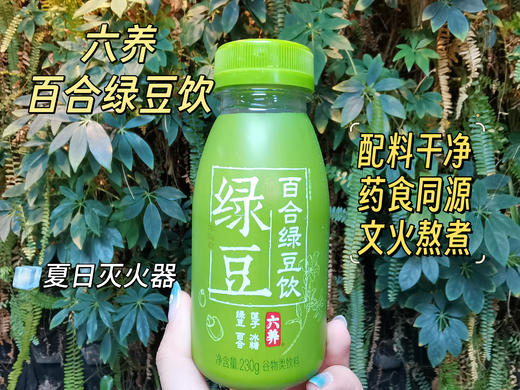 解暑必备 某马同款【古法-六养百合莲子绿豆饮】 药食同源 配料干净 入口细腻丝滑 低脂低糖配方控糖人士友好 无防腐剂 商品图1