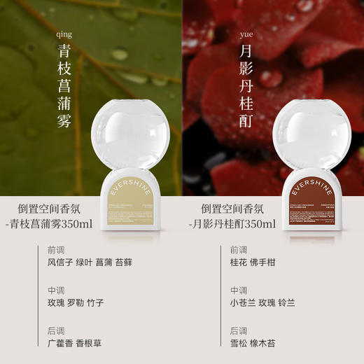 EVERSHINE倒置空间香氛# 专利倒置扩香，60天持久留香，5分钟除臭，98%异味去除率~ 99%除菌率【G】 商品图6