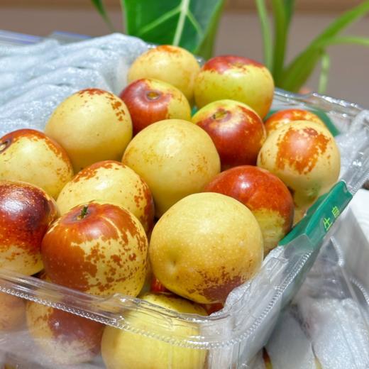 牛奶冬枣，皮薄核小，甜脆多汁，出口标准，现摘现发，72小时顺丰包邮 商品图0