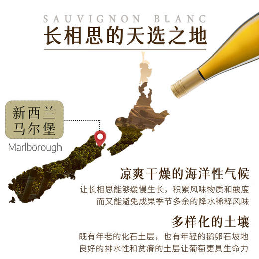 【名师酿造】新西兰原瓶进口马尔堡长相思干白葡萄酒  马尔堡长相思 13%vol 商品图7