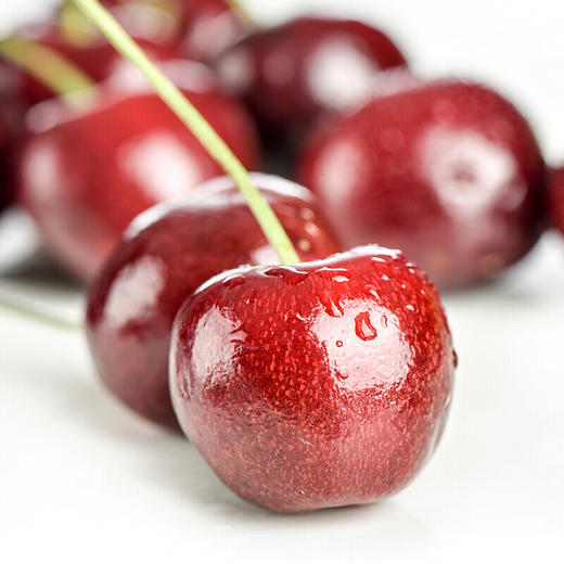 【会员48/斤】智利车厘子 4JD级别  品种：Santina桑提娜 商品图1