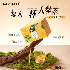 【新品上市】CHALI茶里枸杞黄芪人参茶盒装48g（12包）