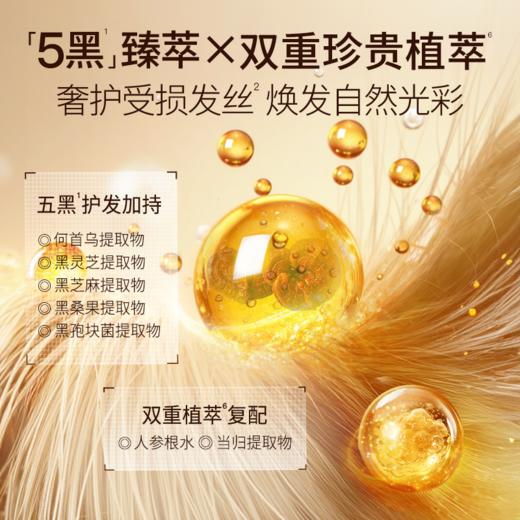 鄭明明灵芝植萃柔顺还原霜 260g*1 商品图4