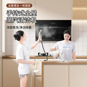 【蒸汽清洁机】高温高压空调厨房油烟机 家用消毒多功能手持清洗机 