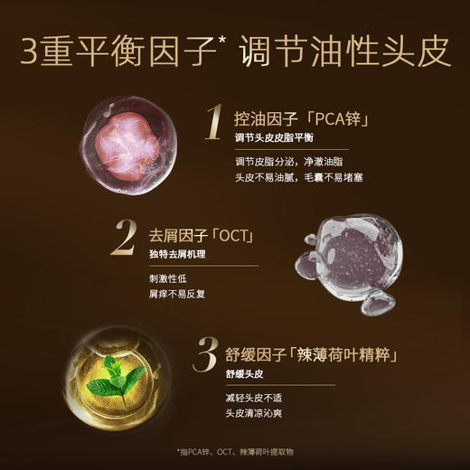 姜根强韧洗发水520ml*2瓶（专业线，主打控油蓬松+固根防短+平衡头皮生态环境） 商品图4