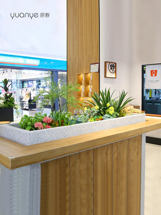 高仿真植物造景定制设计/商场家居多场景生态景观搭建+一站式安装（具体价格可咨询商家） 商品图5