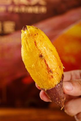 【云南榴莲蜜薯】黄金薯田:1500米高原红土地，10天极速糖化锁鲜，生态有机标准种植，板栗香软糯黄金薯:36°+天然甜度，丝滑如芋泥，颠覆“红薯要么粉要么腻”的刻板印象!