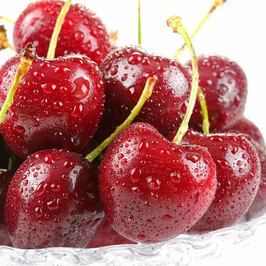 【会员48/斤】智利车厘子 4JD级别  品种：Santina桑提娜 商品图4