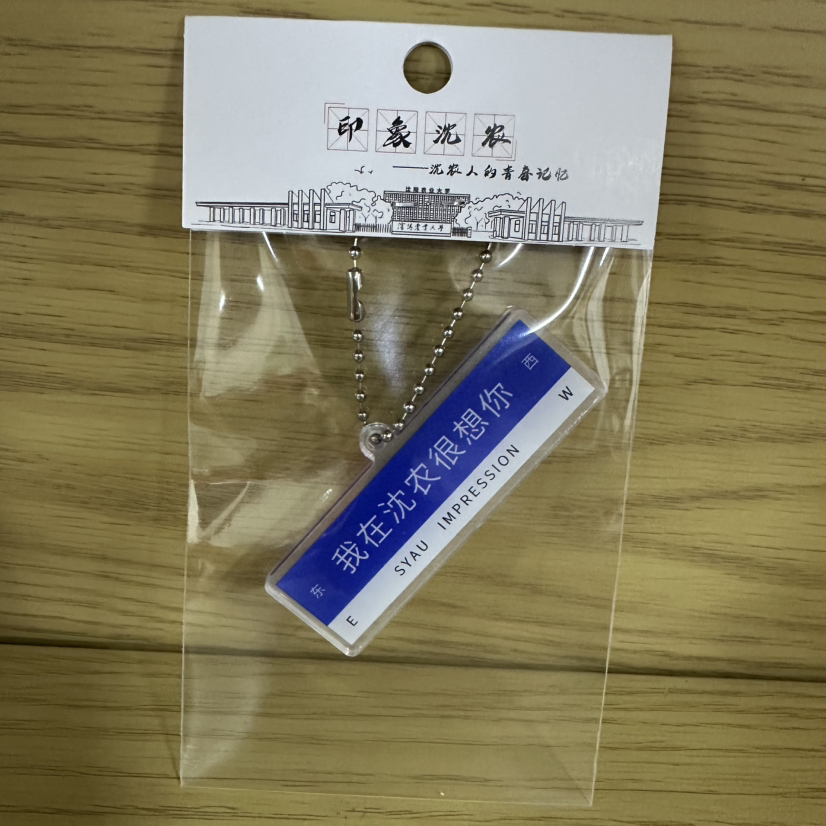 我在沈农很想你钥匙扣 文创钥匙链