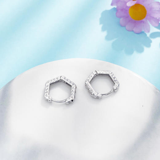 【限时8.8折】【线上铂金馆】PT950 【国际铂金协会 精品】铂金空心六边形耳饰耳圈(ACPTES00010)预售产品下单后不退款不退货不换货不补差价) 商品图2