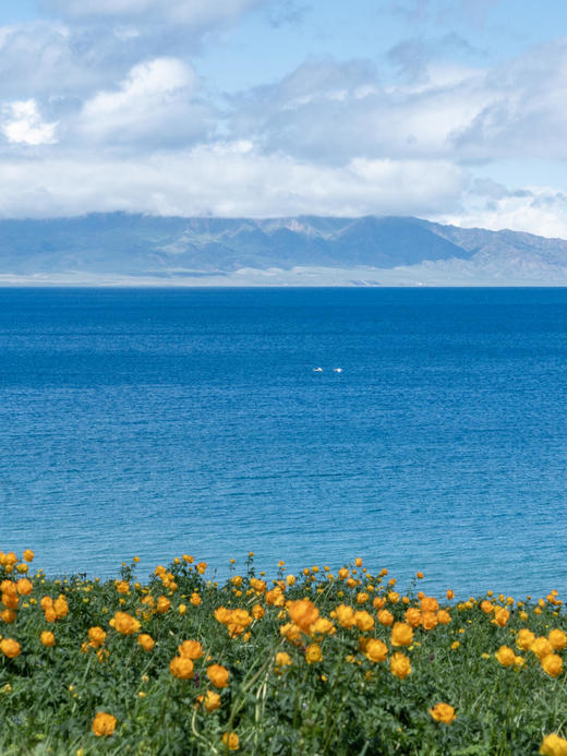 新疆大环线·双点进出双飞8日游-不走回头路【业主专团】纯玩0购物 小区接送 【旅游】 商品图4