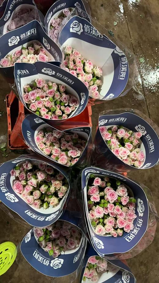 国产小众花材LUV卢浮泡泡多头玫瑰花10支 商品图2