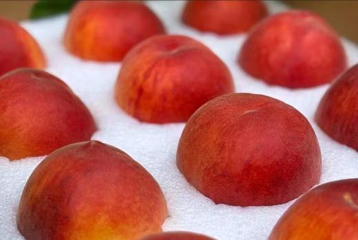 早黄玉·水蜜桃礼盒〔龙泉好礼〕出口级 -  脆甜多汁 非凡品质 -净重4.5斤【水果】 商品图6