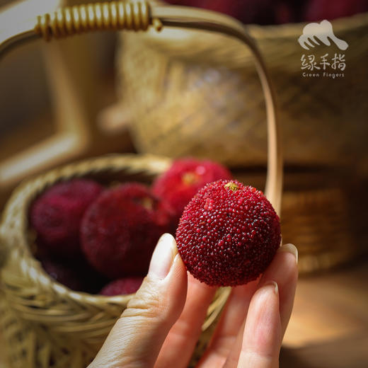 生态仙居东魁杨梅 | 合作生产*Eco-waxberry | Coproduction 商品图2