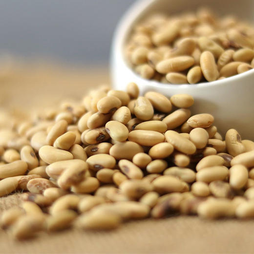 陕北农家绿豆+小黑豆+老品种黄豆【6斤包邮】 商品图6