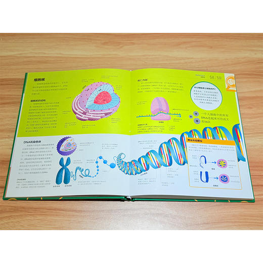 DK生物运转百科（全彩） 商品图2